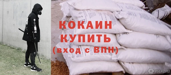 тгк Абаза