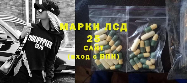 винт Алзамай