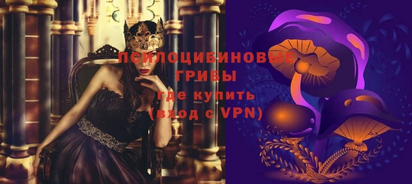 соль ск Алексин